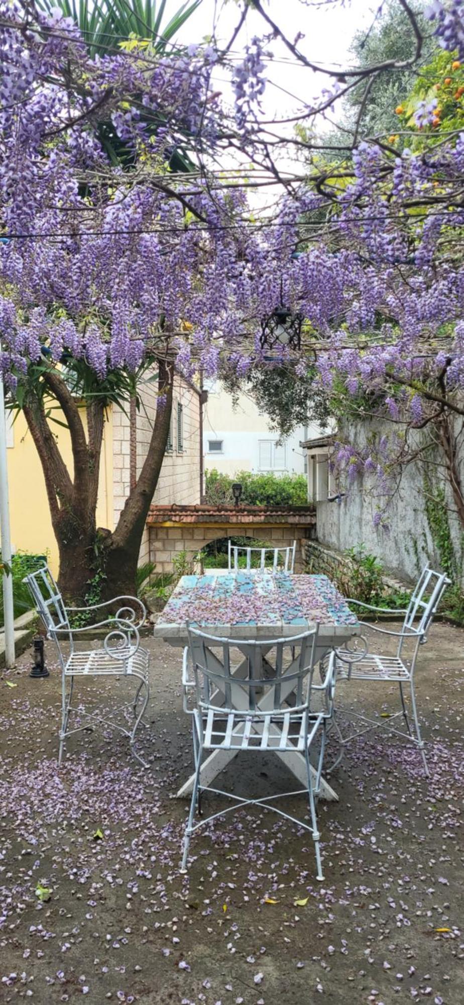 Studio Apartman Sa Pogledom Na More Meljine Exteriér fotografie